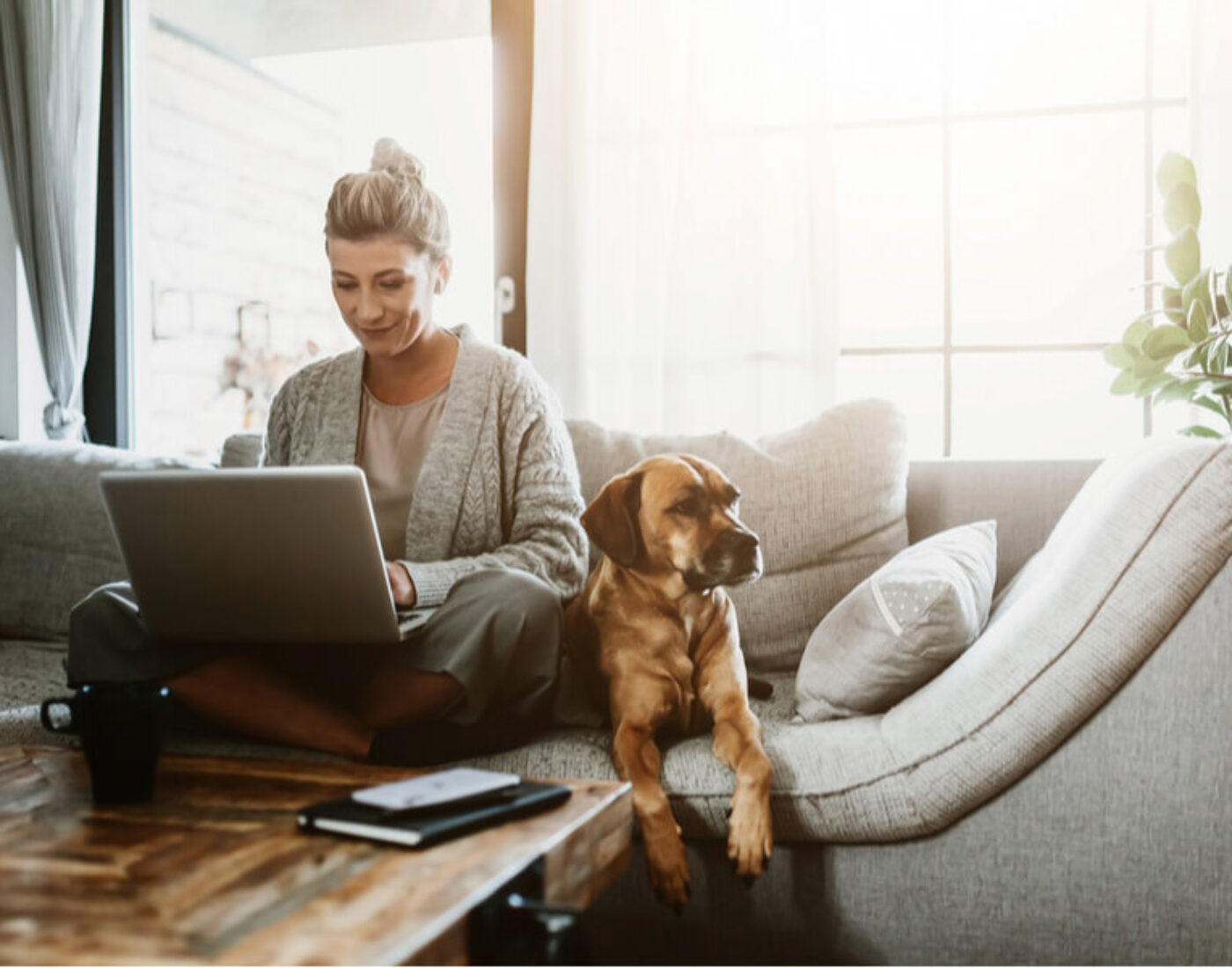 A woman sitting on a couch with her dog using a laptop.