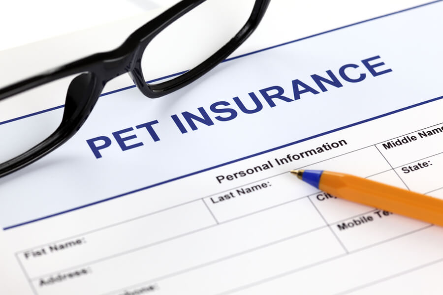 A pet insurance form with glasses and a pencil.
