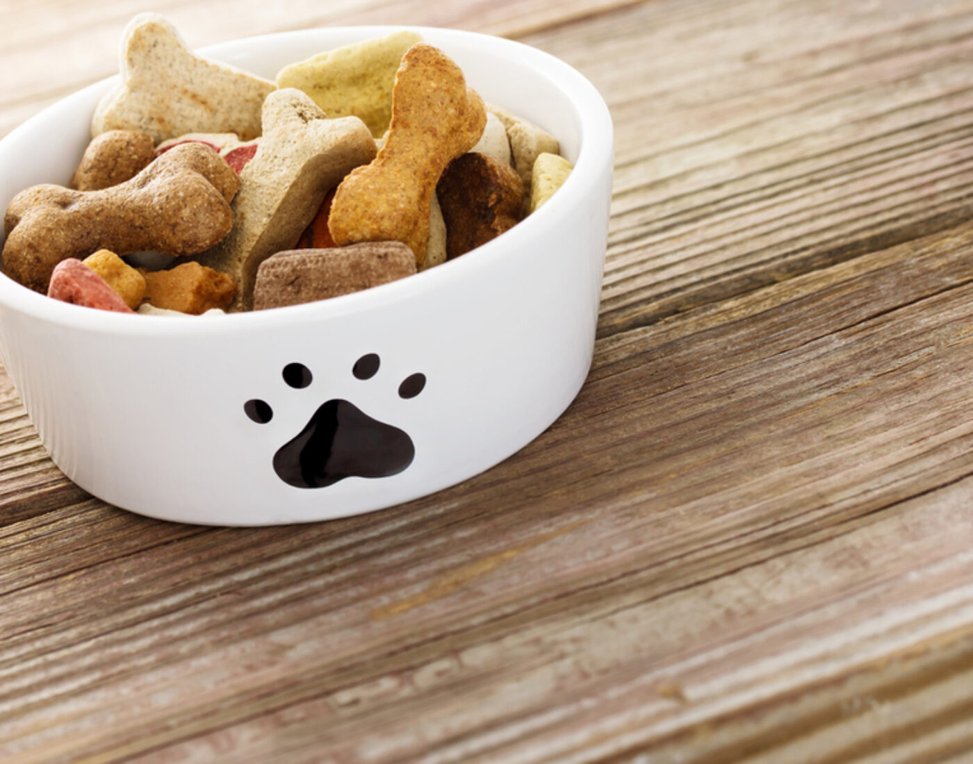 A bowl of dog food with a paw print on it.