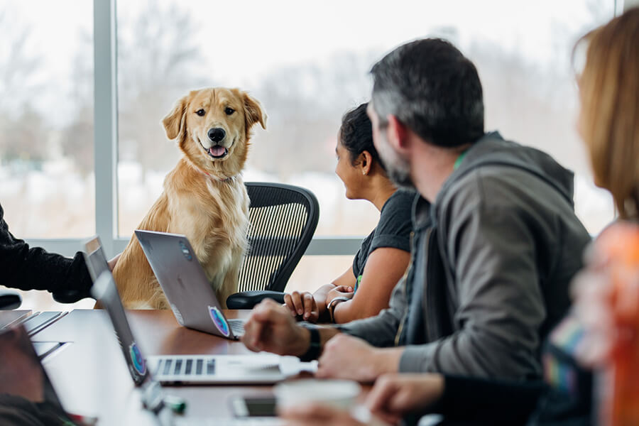 A group of people sitting around a table with a dog in the background.